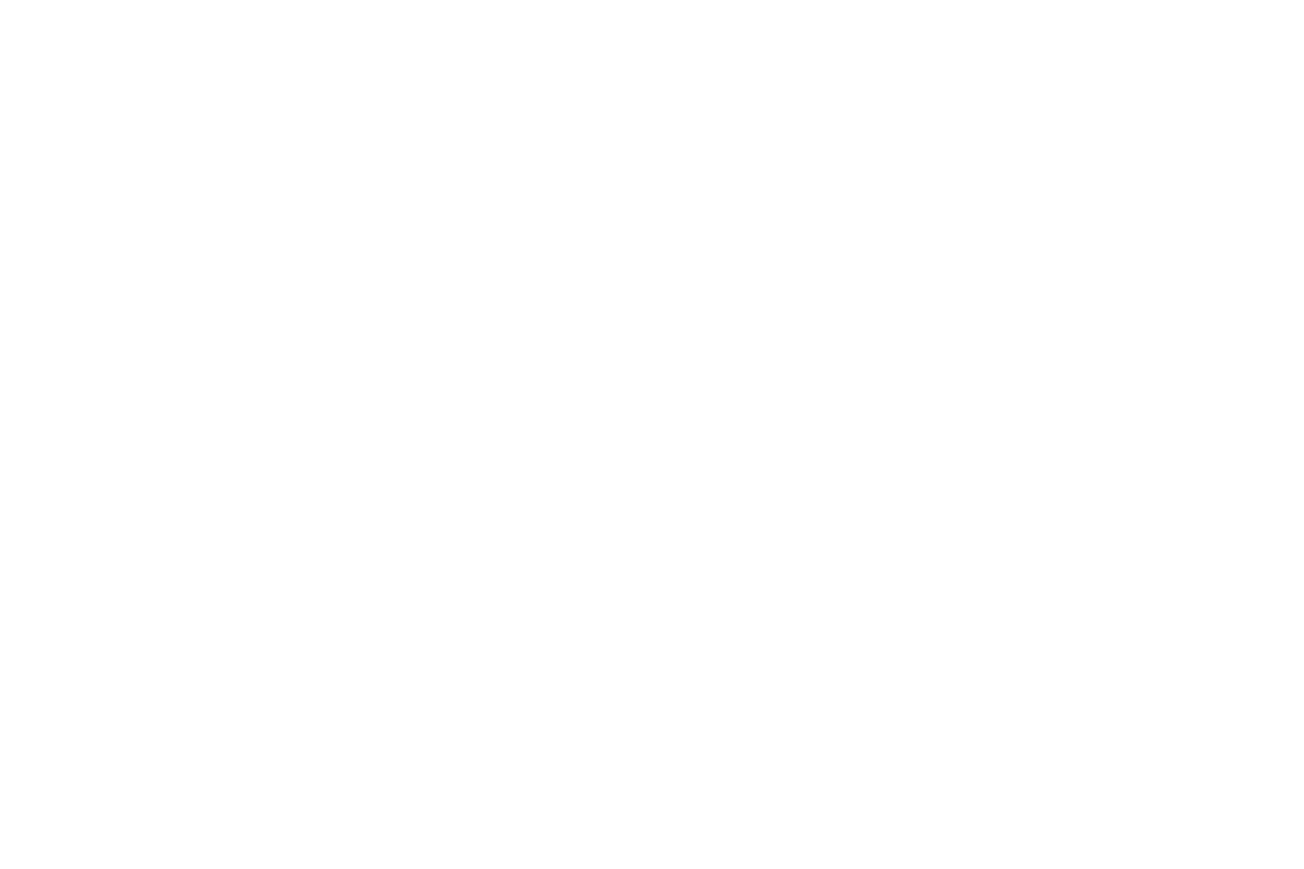 Team Bounce